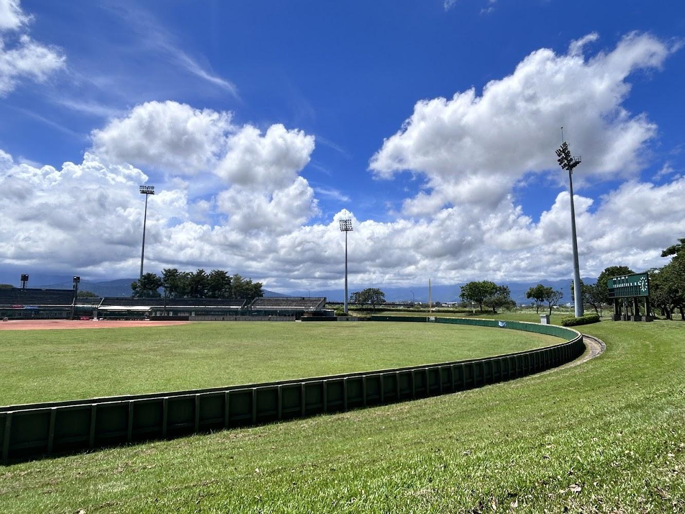 羅東運動公園 東丘 落羽松