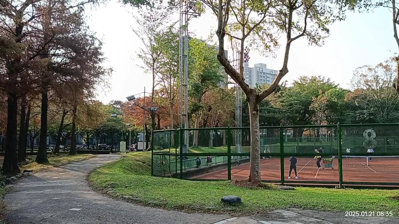 羅東運動公園 東丘 落羽松