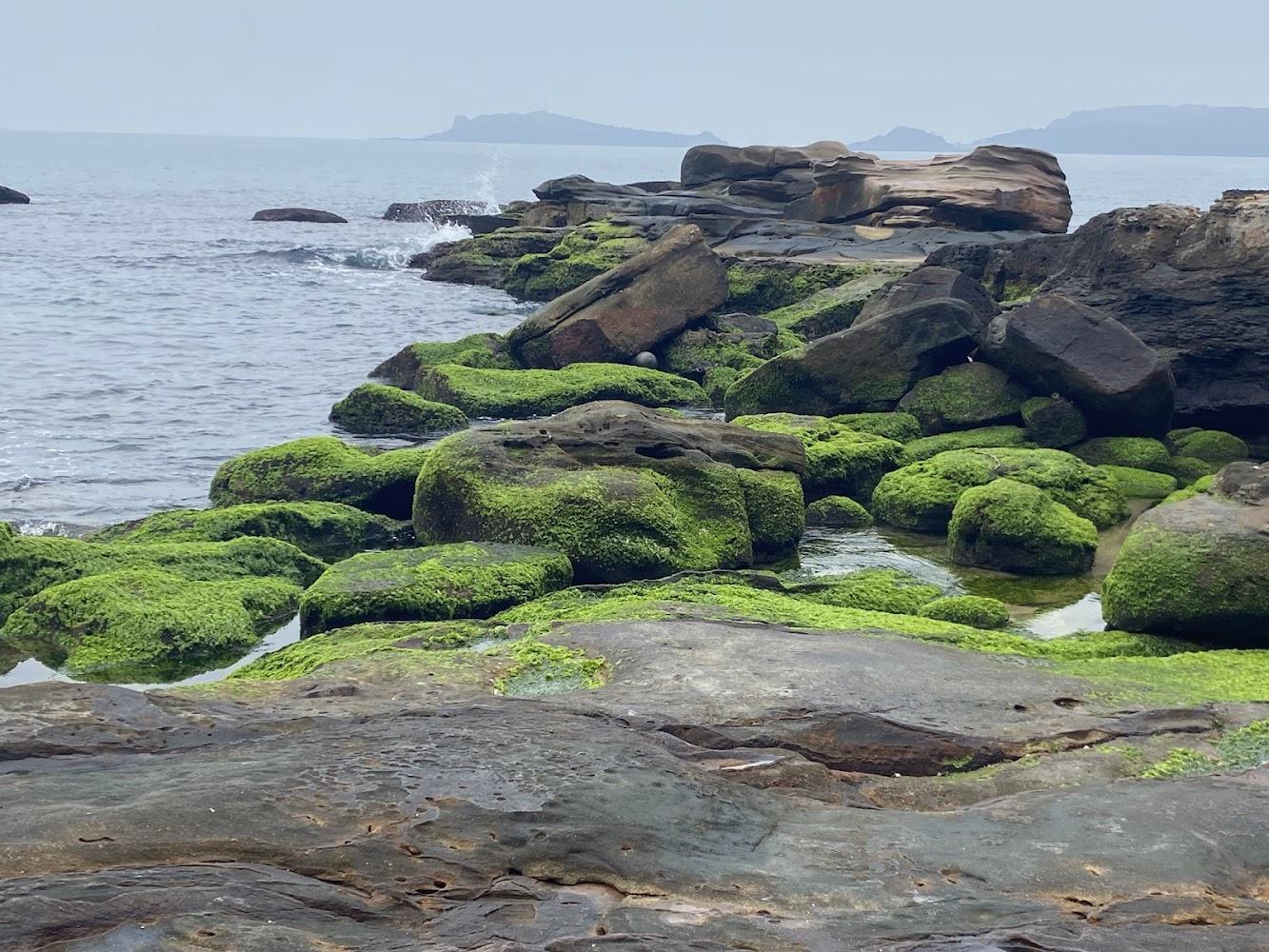 金山神秘海岸的岩石地景