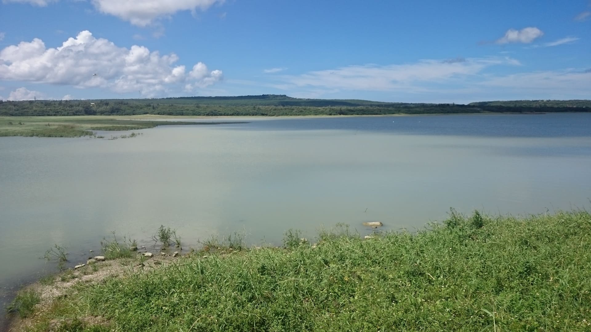 龍鑾潭自然中心內設有高倍望遠鏡，是冬日觀察候鳥生態的絕佳場域