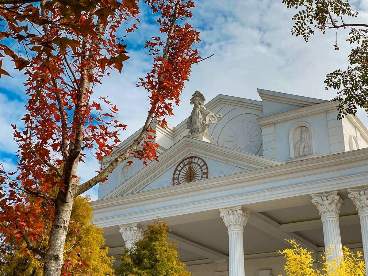 精緻的床品與放鬆的氛圍