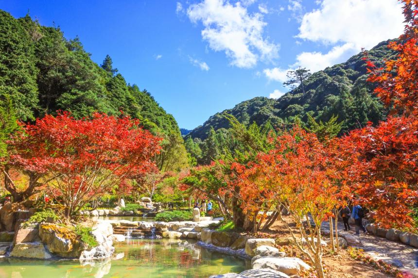 跟著季節走上杉林溪的步道，在南投高山森林裡找回屬於旅人的呼吸節奏
