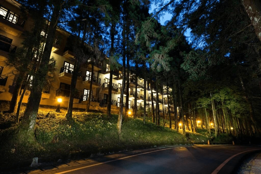 沿著晨霧踏進宜蘭明池山莊的森林小路，讓高山湖泊的光影在一步步間慢慢展開