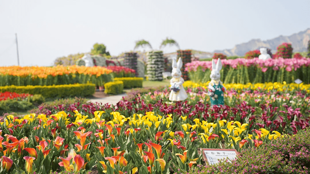 漫步台中，邂逅城市的五種溫度，放慢腳步用步伐拾起都市中的光與暖意