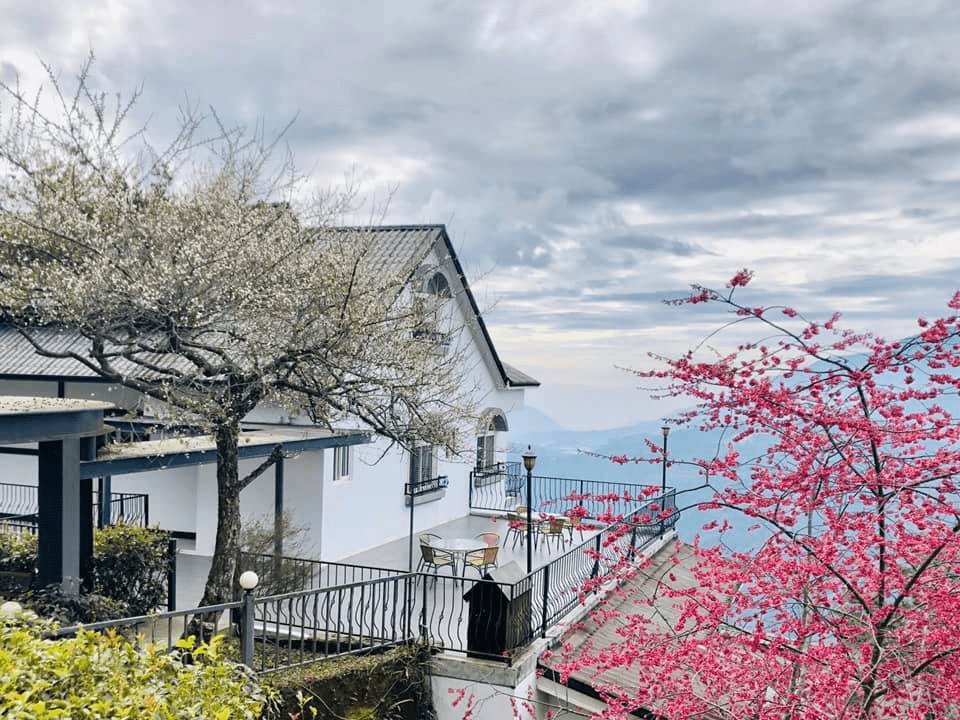 在雲上安靜生活一晚，山風吹過的房間，走進南投這五間居所的溫柔邀請