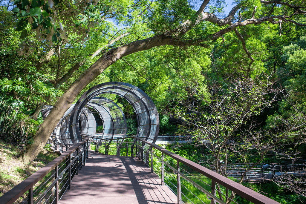 沿著山與街的節奏把步調放慢，桃園的風景很溫柔，適合悄悄帶走一整天