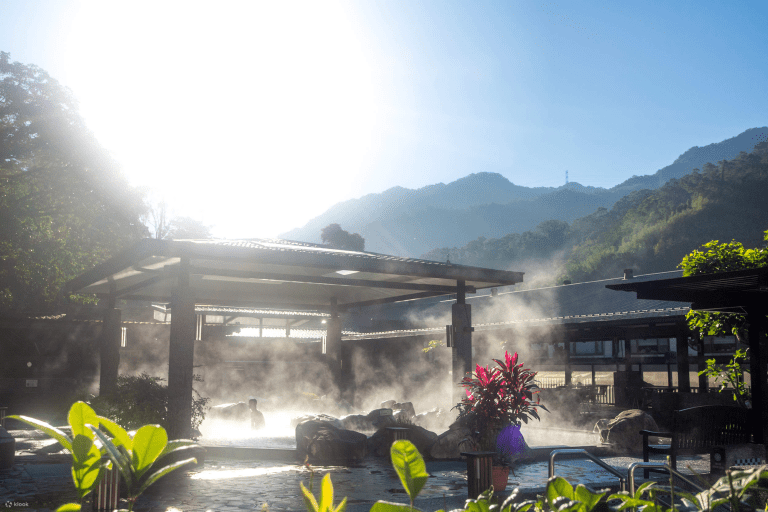 藏在三峽山林的溫暖旅程，陽光落在樹梢上，也落在大板根的每一個角落