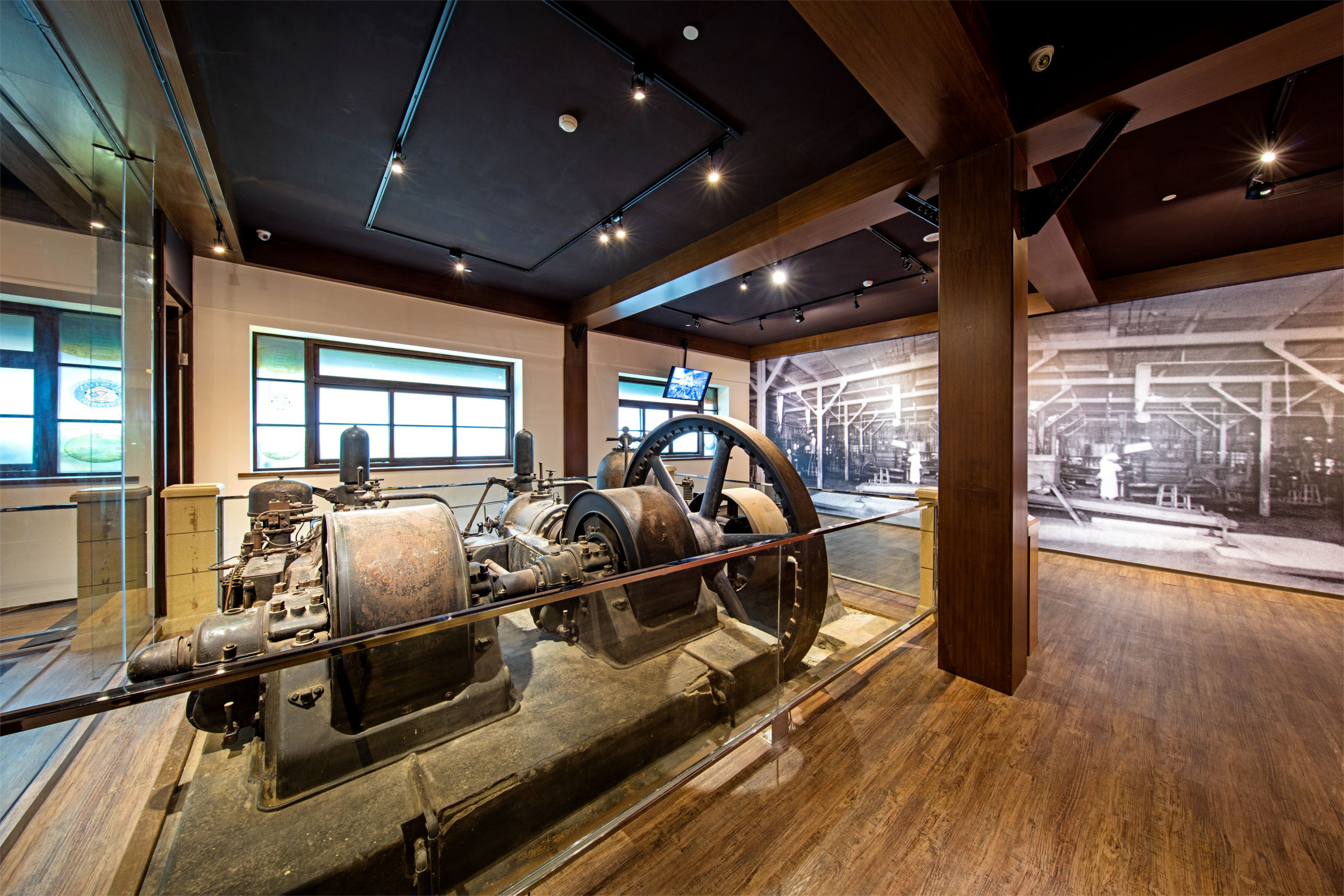 藏在三峽山林的溫暖旅程，陽光落在樹梢上，也落在大板根的每一個角落