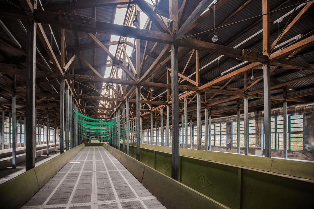 走訪桃園大溪老茶廠的靜謐時光，在光影與茶香交會的空間裡重新聽見生活的呼吸