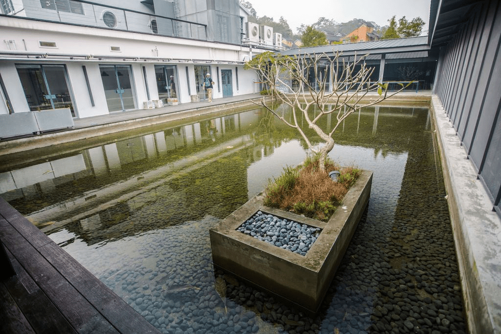 走訪桃園大溪老茶廠的靜謐時光，在光影與茶香交會的空間裡重新聽見生活的呼吸