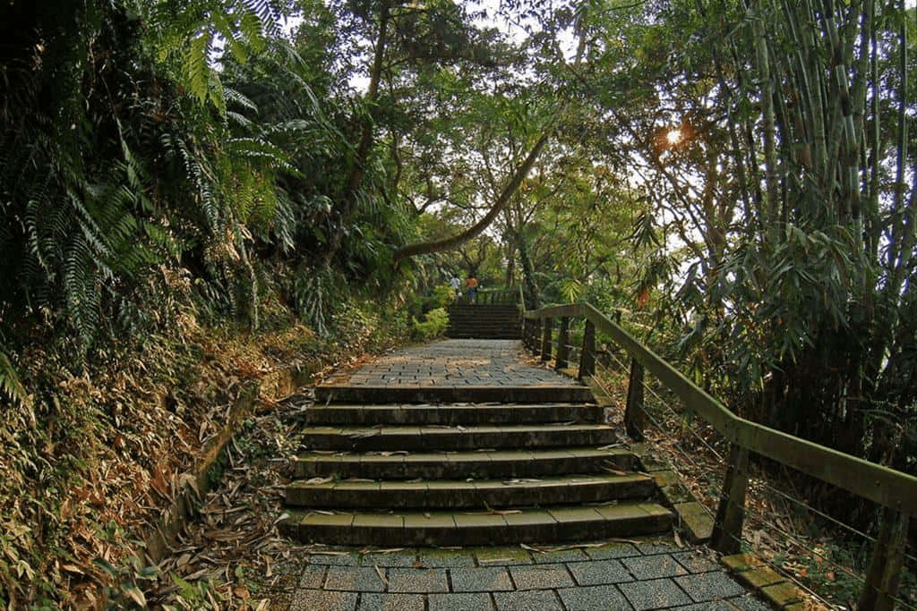 把一天留在日月潭湖邊，從騎車到搭船，看風景一層一層靠近眼前