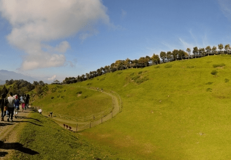 走進清境農場的高山草原，看見綿羊與雲海同框的那一刻，旅程像被風吹開般自然展開