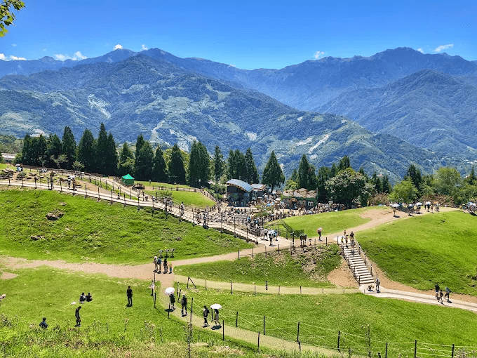 走進清境農場的高山草原，看見綿羊與雲海同框的那一刻，旅程像被風吹開般自然展開