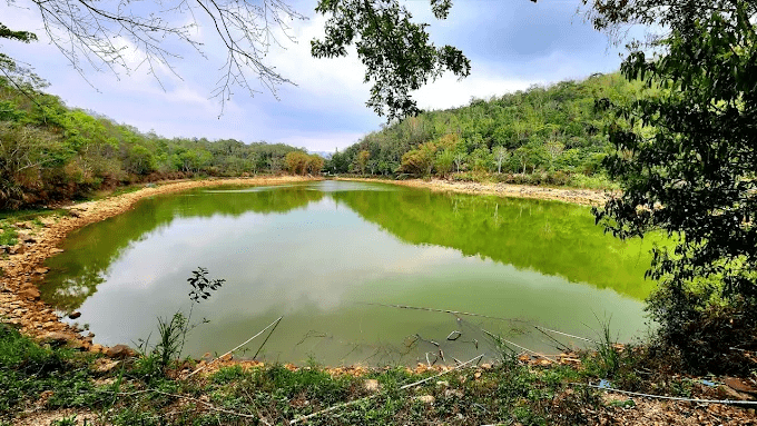 讓風聲陪你穿過坡地，在埔里瑪璘散步途中看見山林悄悄展開的清朗風景