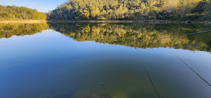 讓風聲陪你穿過坡地，在埔里瑪璘散步途中看見山林悄悄展開的清朗風景