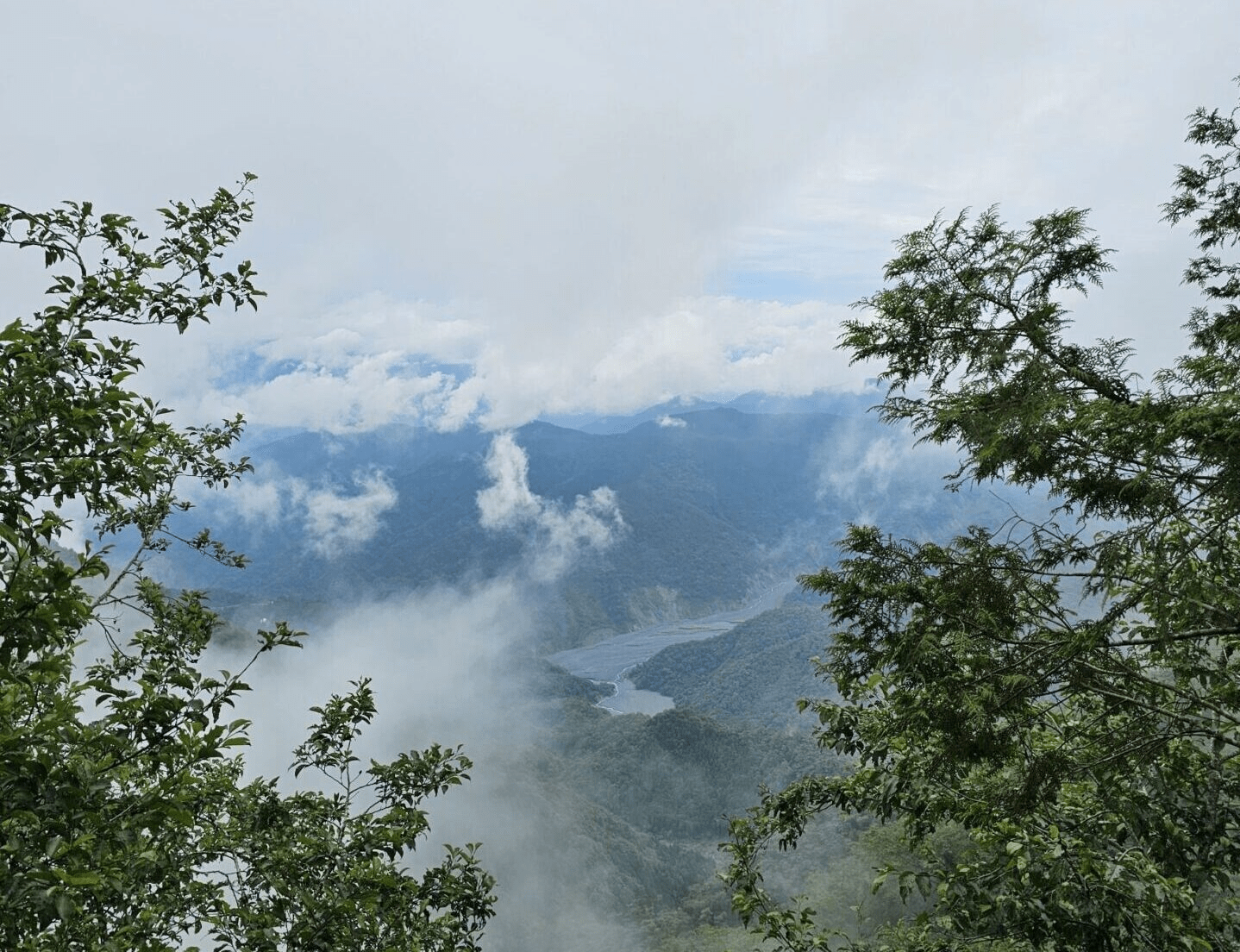 在宜蘭太平山的清晨霧氣裡漫步見晴懷古步道，沿著木棧與光線慢慢走進森林的安靜深處