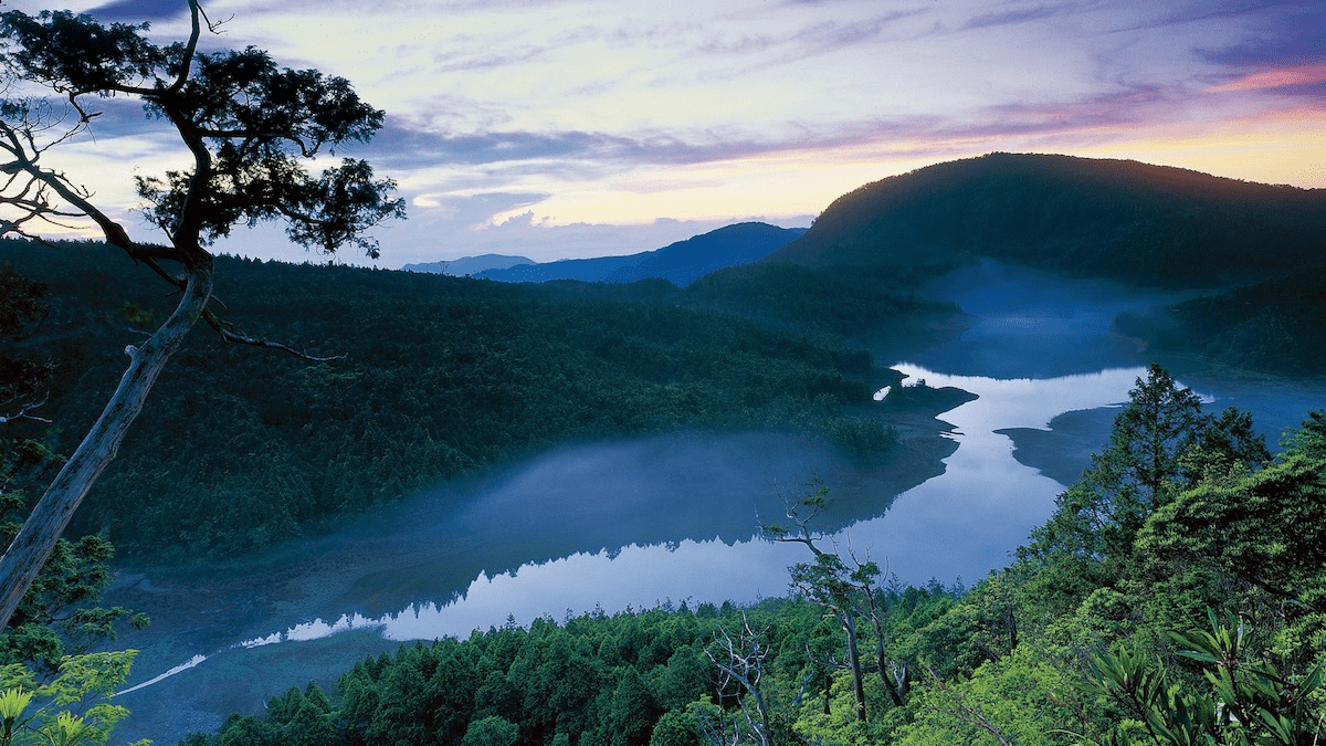 在宜蘭太平山的清晨霧氣裡漫步見晴懷古步道，沿著木棧與光線慢慢走進森林的安靜深處