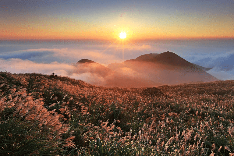 沿著步道慢慢走，來一趟不必遠走的山林旅行，走進陽明山的雲霧與草原