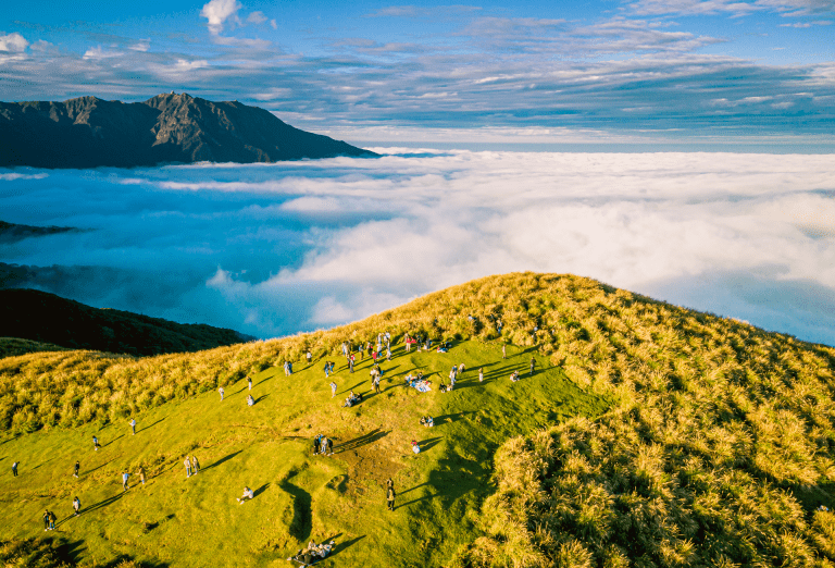 沿著步道慢慢走，來一趟不必遠走的山林旅行，走進陽明山的雲霧與草原