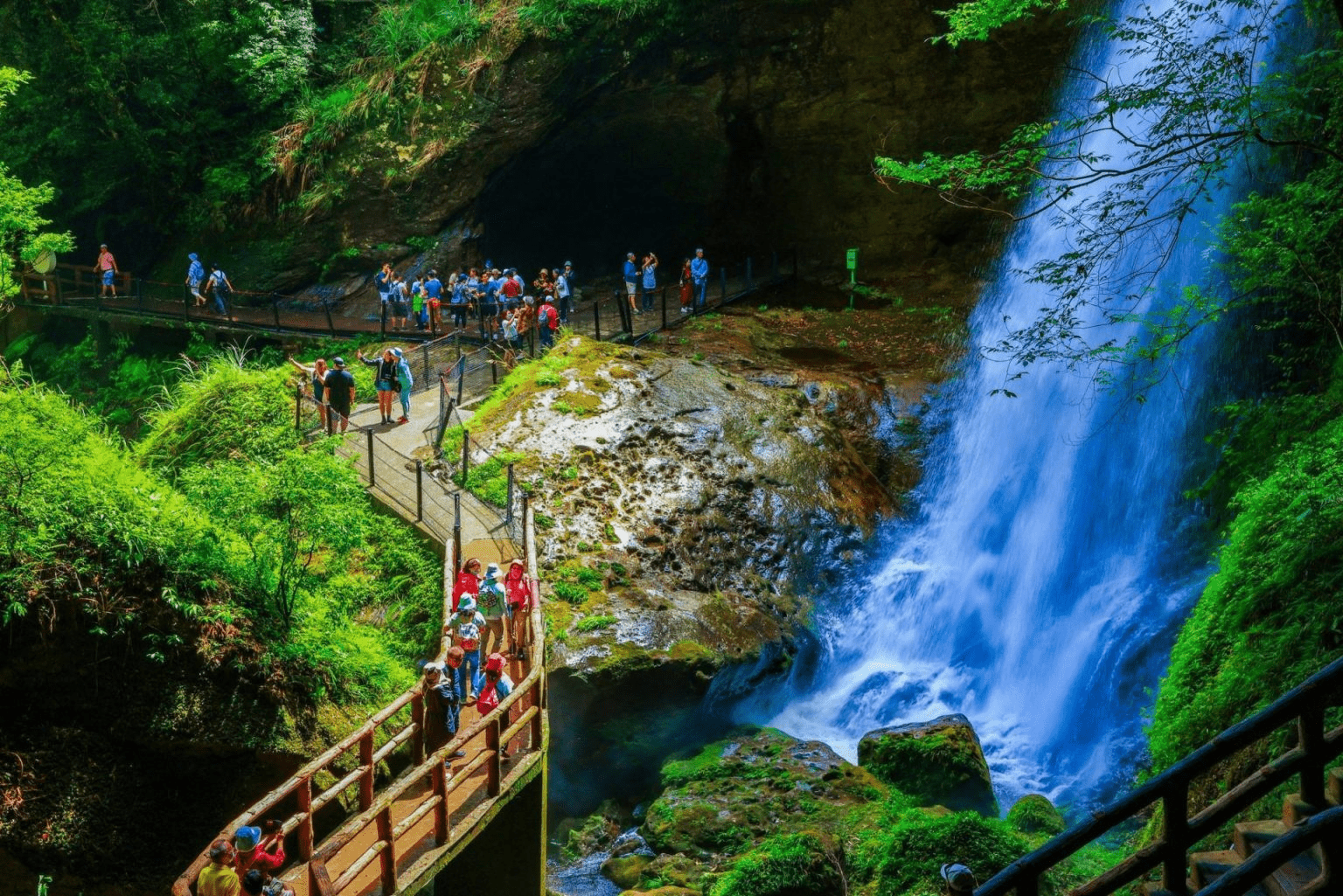 走進杉林溪的山谷時光，用步道與花卉中心的色彩與節奏，找回旅行裡最單純的呼吸與自在感