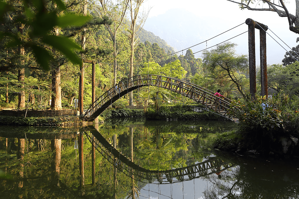 把一天交給溪頭的森林氣息，在涼意與光影中悄悄展開屬於旅人的散步時刻