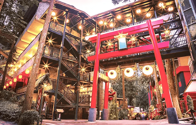 推開旅宿房門迎來森林的第一口空氣，在溪頭住宿享受被大自然重新安放的輕盈早晨