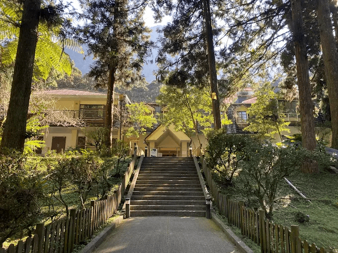 推開旅宿房門迎來森林的第一口空氣，在溪頭住宿享受被大自然重新安放的輕盈早晨