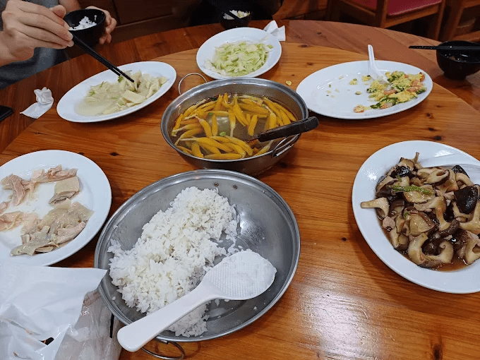把一天交給溪頭的森林氣息，在涼意與光影中悄悄展開屬於旅人的散步時刻