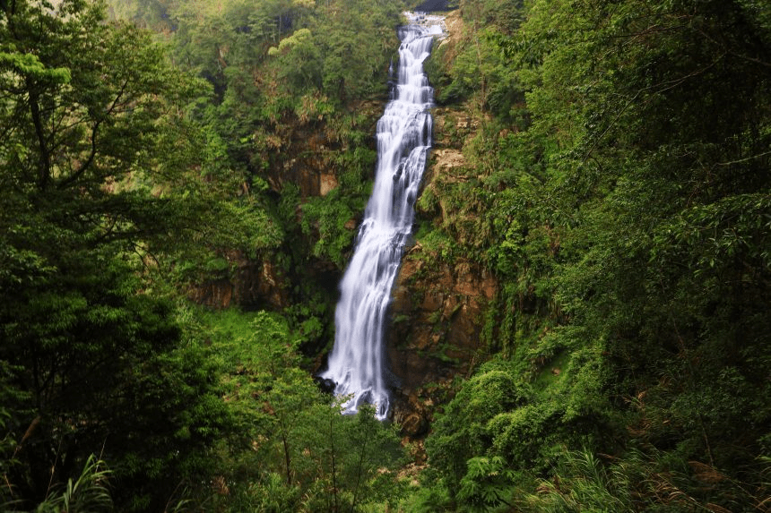 走進杉林溪的山谷時光，用步道與花卉中心的色彩與節奏，找回旅行裡最單純的呼吸與自在感