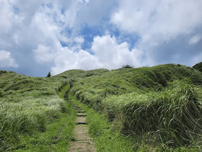 沿著山路慢慢上行，在陽明山國家公園遇見霧散光落的瞬間，感受旅程被重新點亮