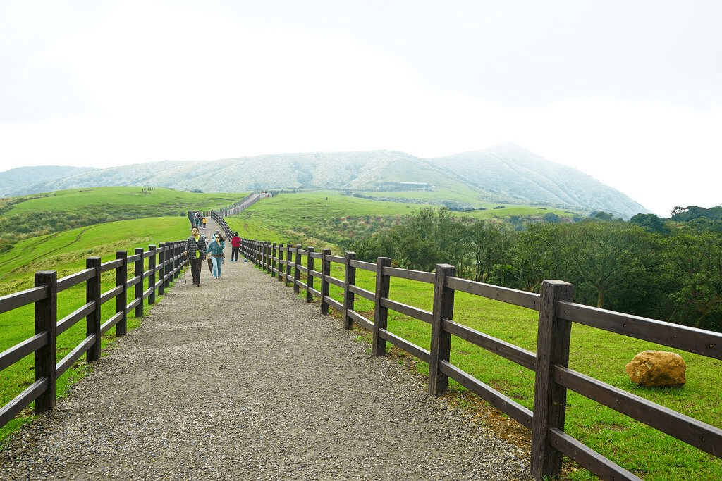 沿著山路慢慢上行，在陽明山國家公園遇見霧散光落的瞬間，感受旅程被重新點亮