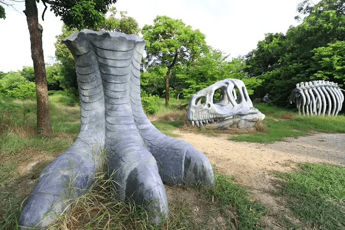 走進台南仁德一日遊路線，從虎山林場綠蔭到十鼓文創園區鼓聲裡慢慢過一天