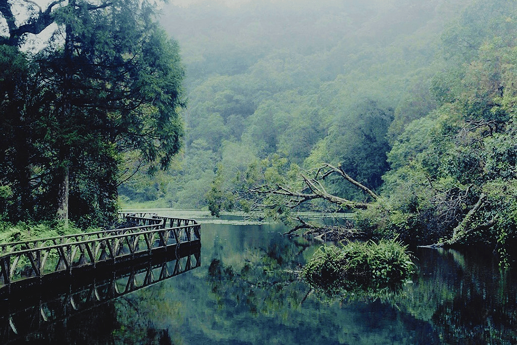 在宜蘭員山被日光喚醒的早晨入住日光之丘民宿,讓旅途在稻田光影中慢慢展開