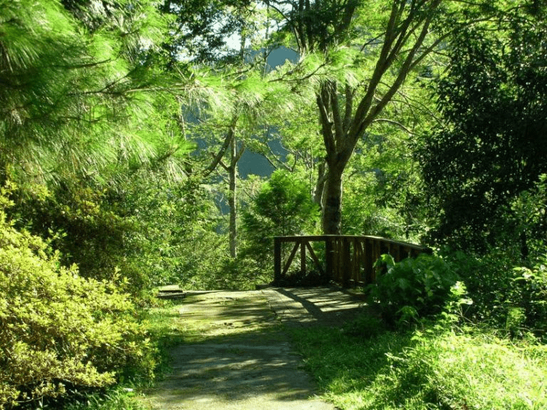 在台中山林的暮色裡前往谷關，入住虹夕諾雅谷關體驗被自然擁抱的沉浸式假期