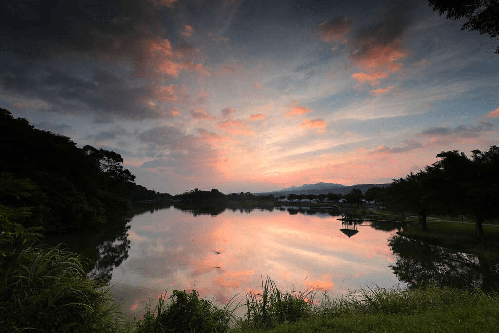 桃園龍潭三坑自然生態公園湖畔美景