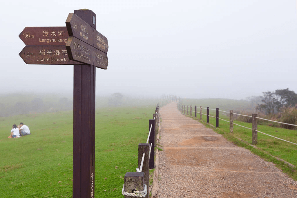 擎天崗遼闊的草原步道，是親子踏青與放鬆身心的首選之地。