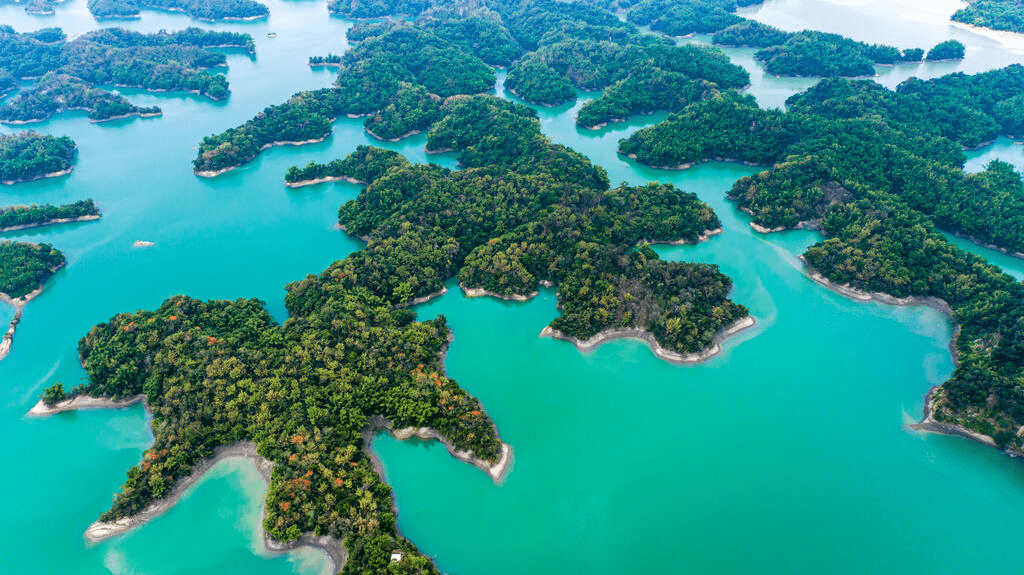 在湖光與歷史之間散步，風從水面吹來的午後，在烏山頭水庫放慢了時間