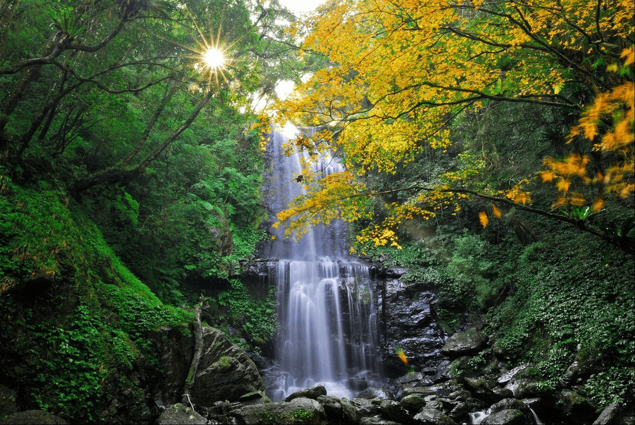 當步道延伸進森林深處，那些藏在三峽山林裡的靜謐風景，值得慢慢走完