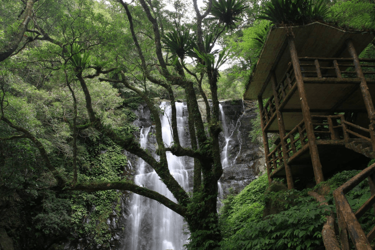 當步道延伸進森林深處，那些藏在三峽山林裡的靜謐風景，值得慢慢走完