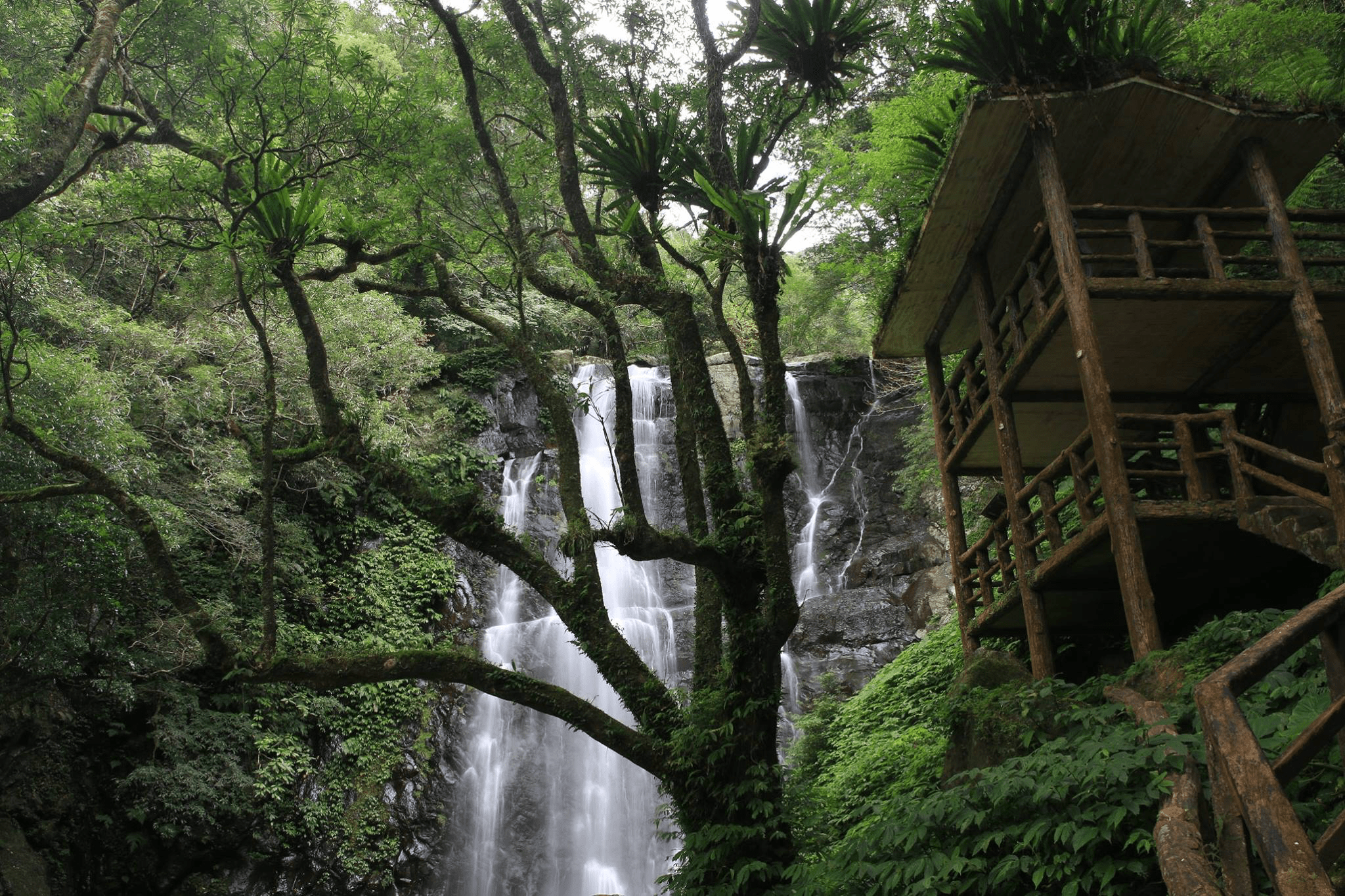 當步道延伸進森林深處，那些藏在三峽山林裡的靜謐風景，值得慢慢走完