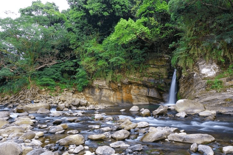 當步道延伸進森林深處，那些藏在三峽山林裡的靜謐風景，值得慢慢走完