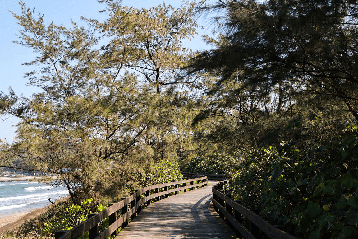 順著新北石門的海岸線前行,麟山鼻地質景觀生態步道把視線拉得很遠