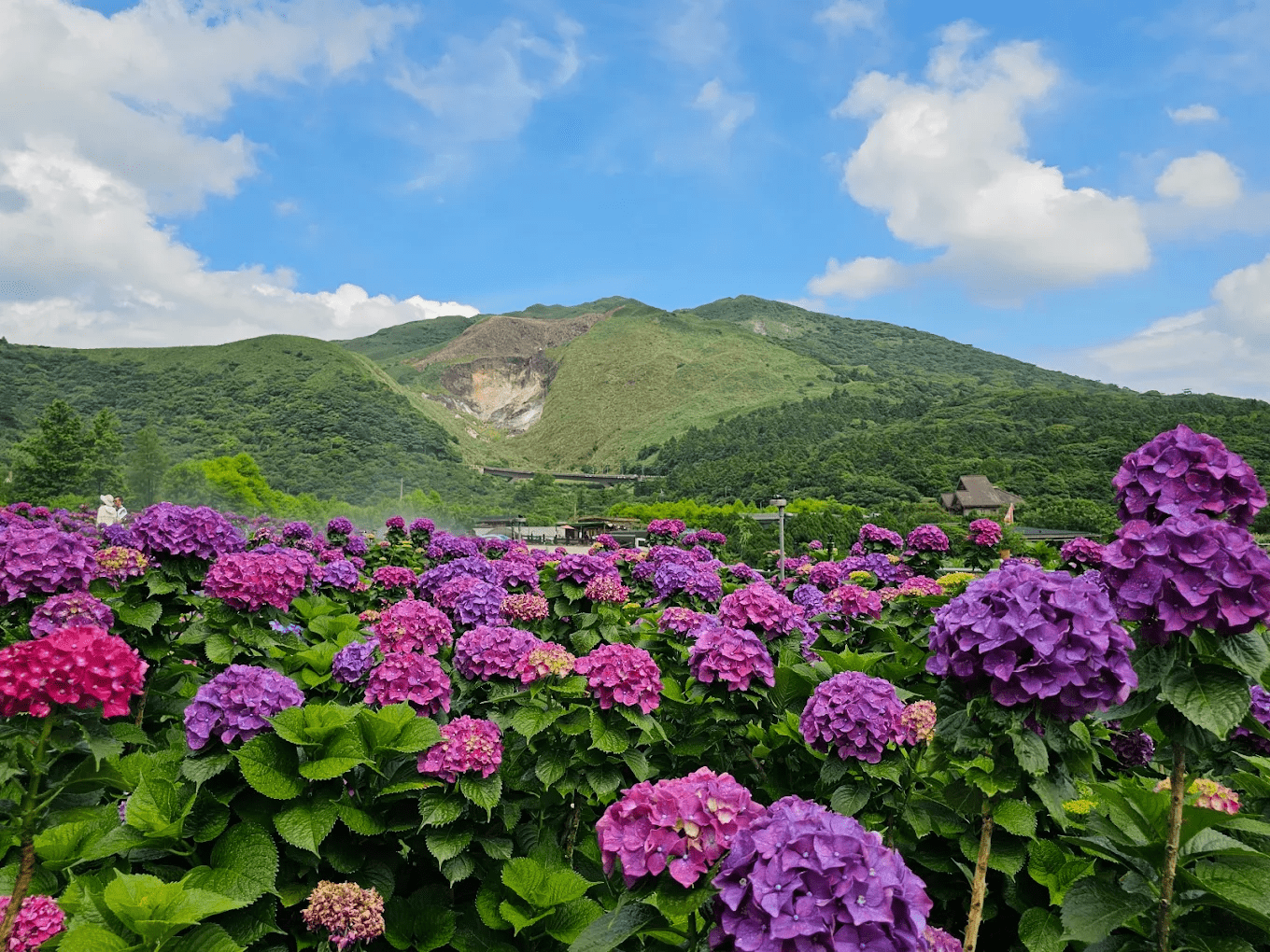 陽明山國家公園