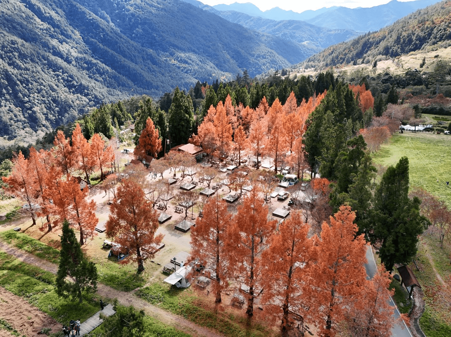 走進武陵農場的高山季節裡,住一晚被森林與晨霧包圍的靜靜住宿時光