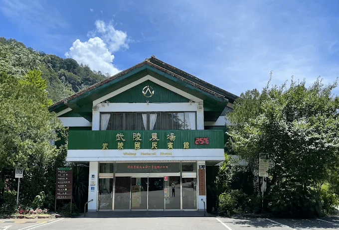 走進武陵農場的高山季節裡,住一晚被森林與晨霧包圍的靜靜住宿時光