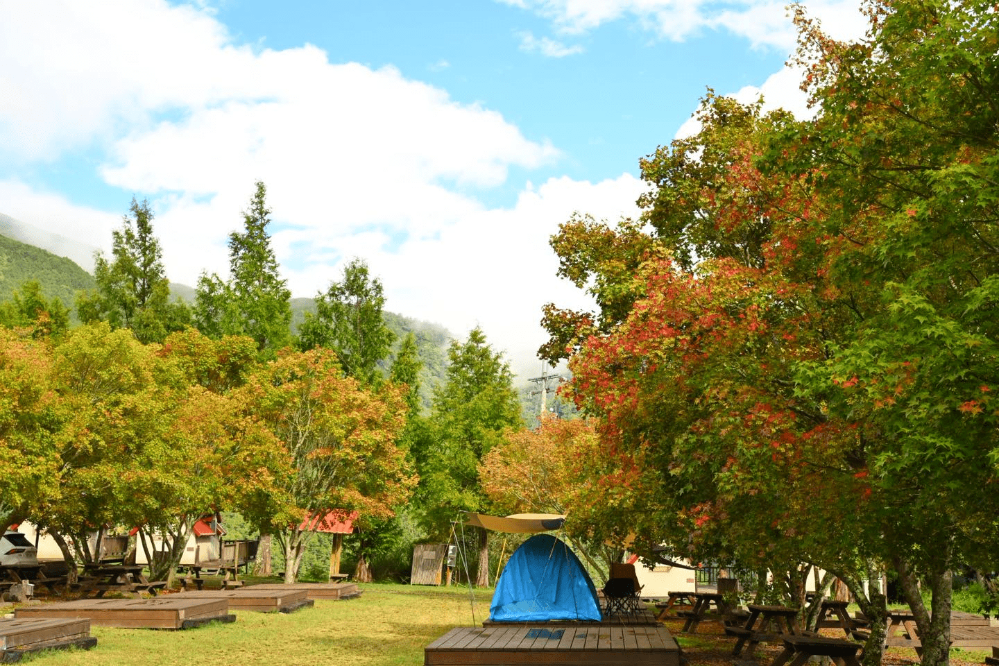 走進武陵農場的高山季節裡,住一晚被森林與晨霧包圍的靜靜住宿時光