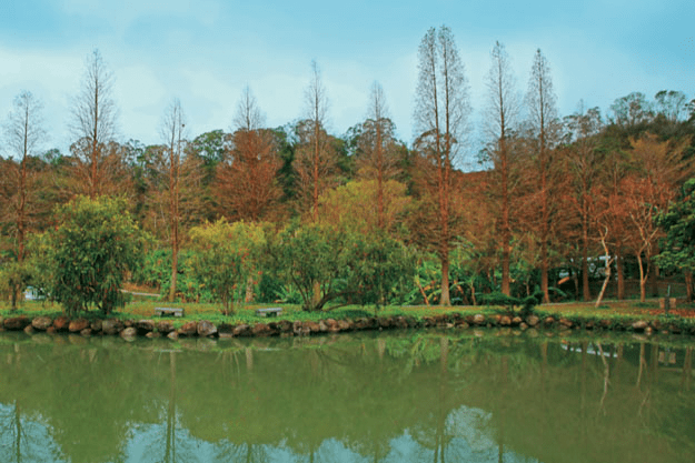 從老街出發的北埔一日遊，在茶香、古厝與山林之間過一段剛好的日子