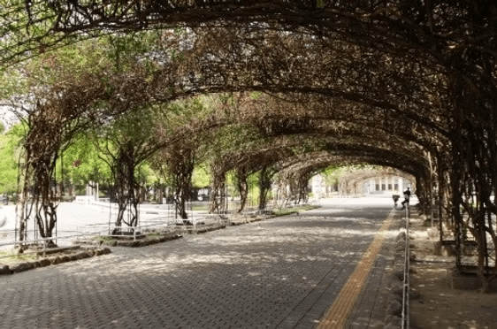 在屏東公園散步的一天，城市綠地、河岸風景與恆春草原自然接續展開