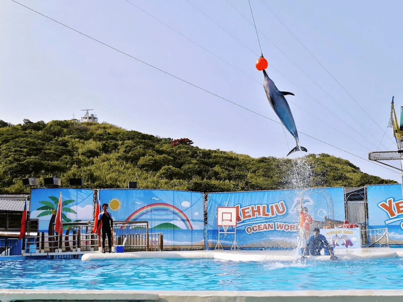 走進野柳海洋世界的藍色午後,在北海岸感受親子旅程最輕柔的節奏