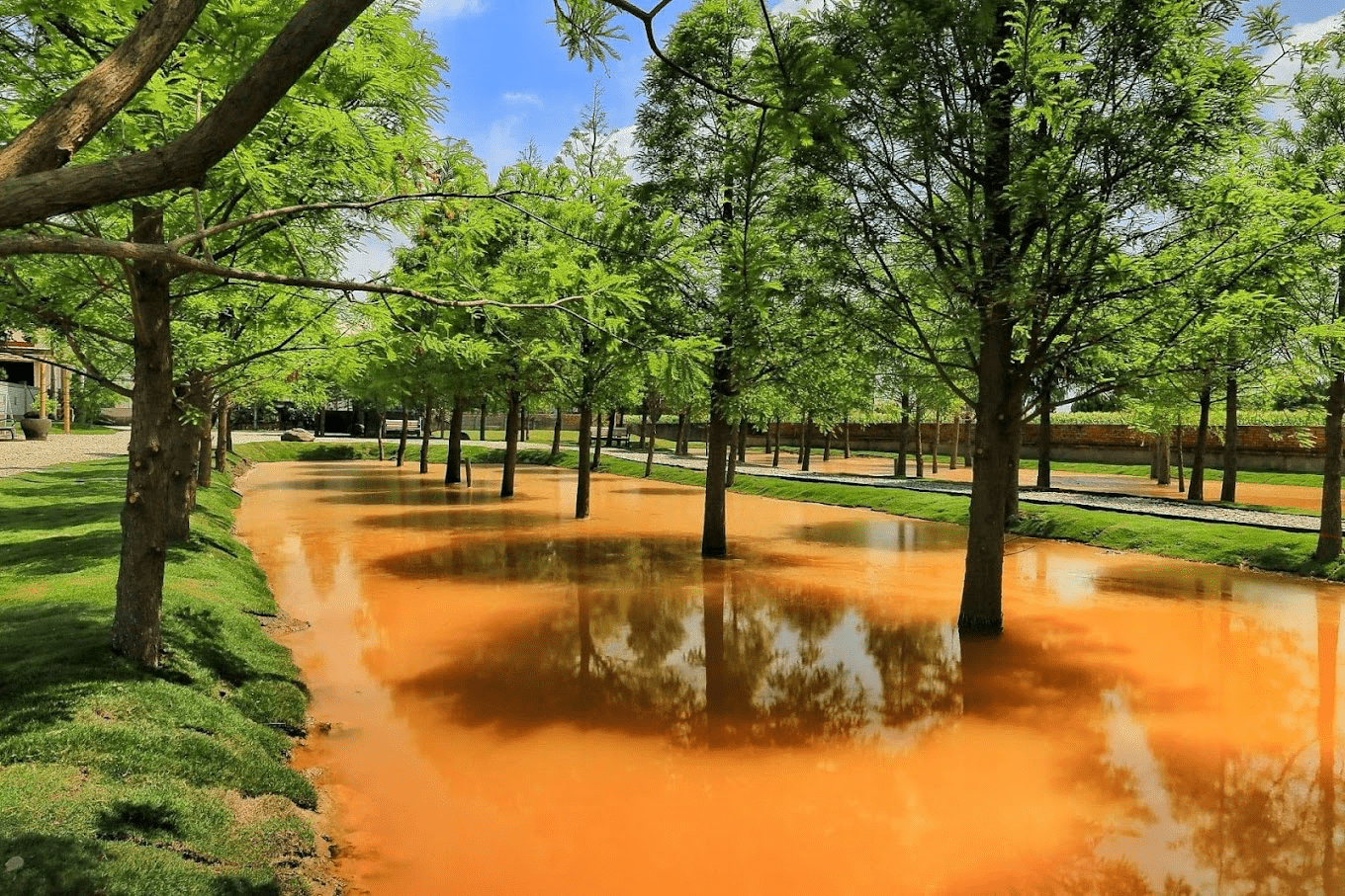 在庭園、老屋與樹影間漫步，用一天的時間，慢慢走進雲林的風景與故事